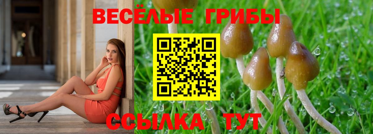 Галлюциногенные грибы ЛСД  Вход с VPN  Среднеуральск 